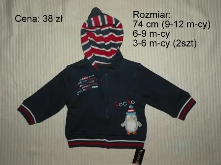 Zdjęcie z galerii
