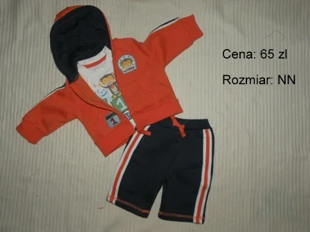 Zdjęcie z galerii