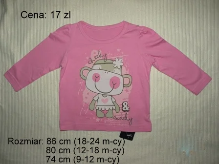 Zdjęcie z galerii